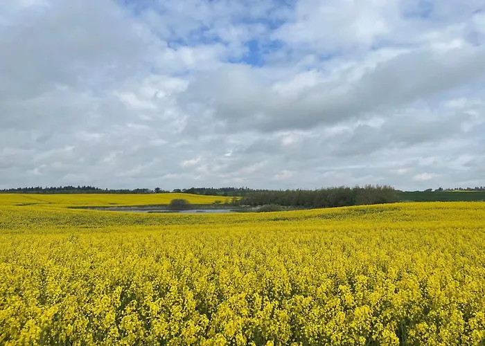 Сasa de vacaciones 6 Person In Thisted-by Traum